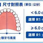 R1 尺寸對照表與牙弓測量_2